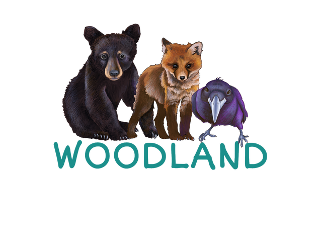 critter - woodland