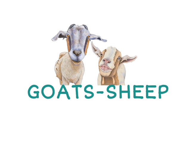 critter - goat/sheep/llama