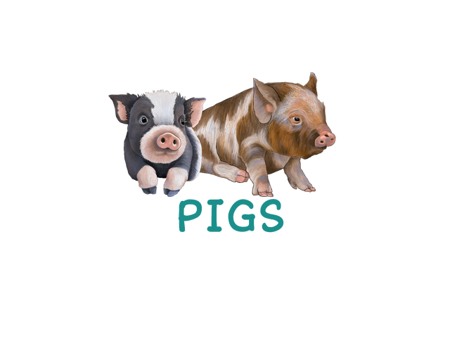 critter - pigs