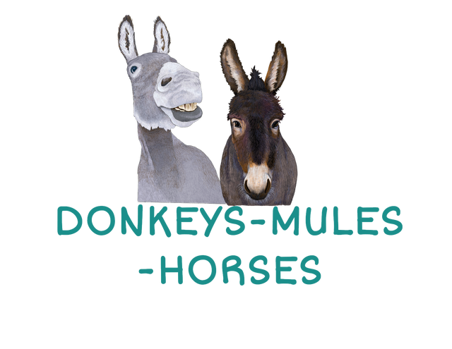 critter - donkey/mule/horse