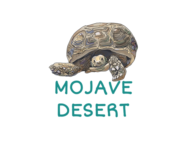 critter - desert wildlife