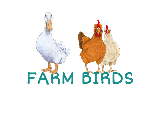 critter- chickens / farm birds